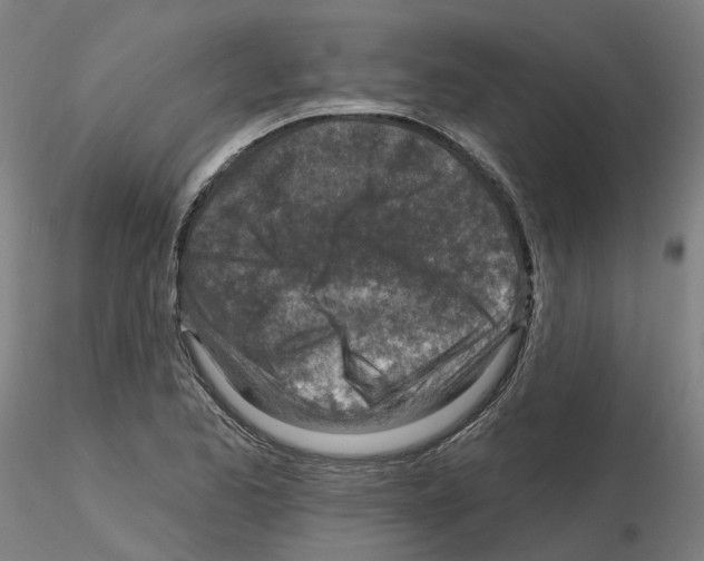X0000115631173200912221243