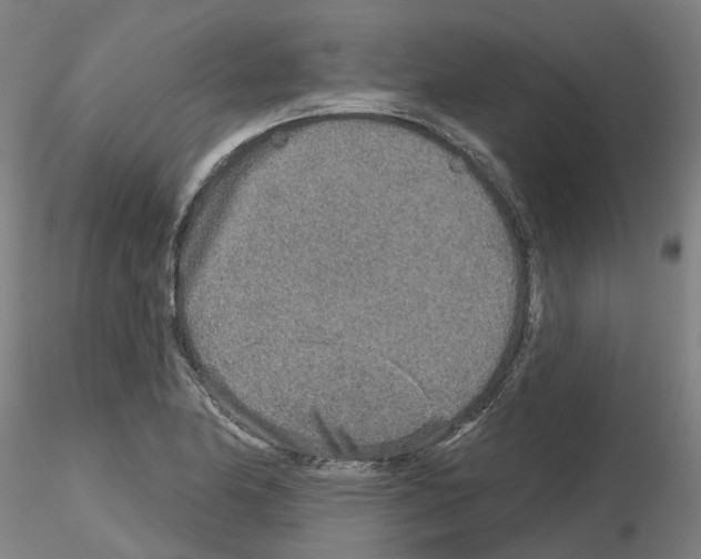 X0000115631174200912221243