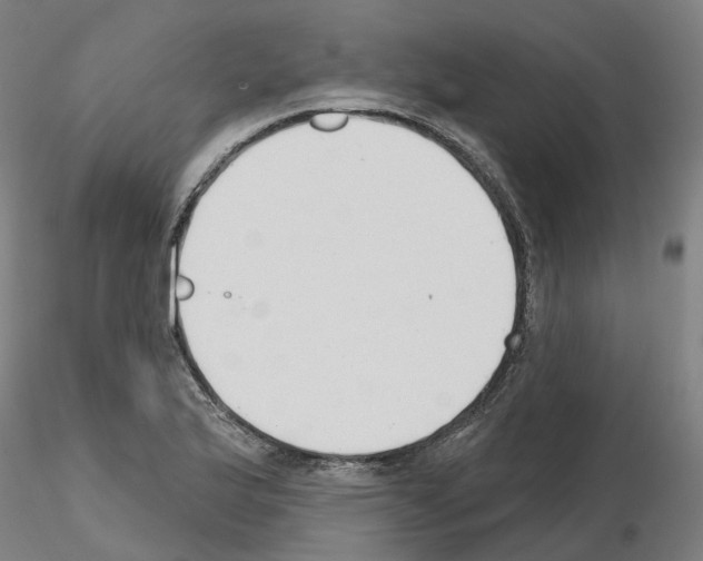 X0000115631175200912221243