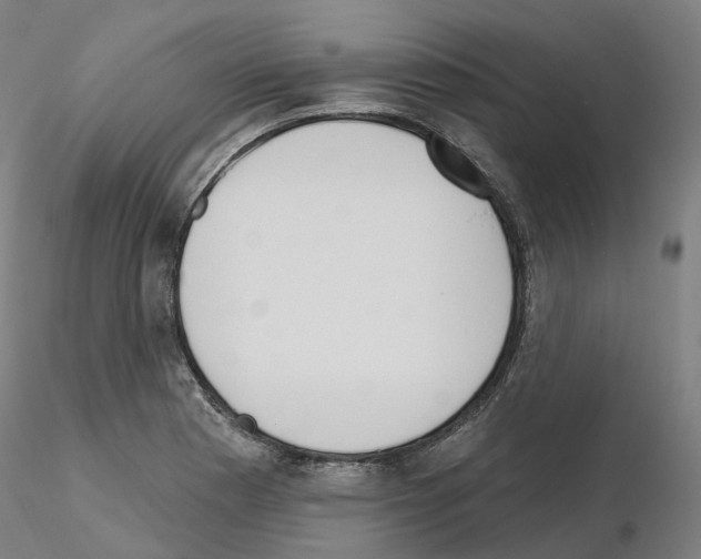 X0000115631177200912221243