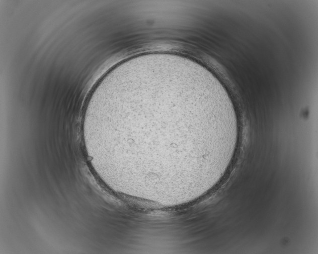 X0000115631178200912221243