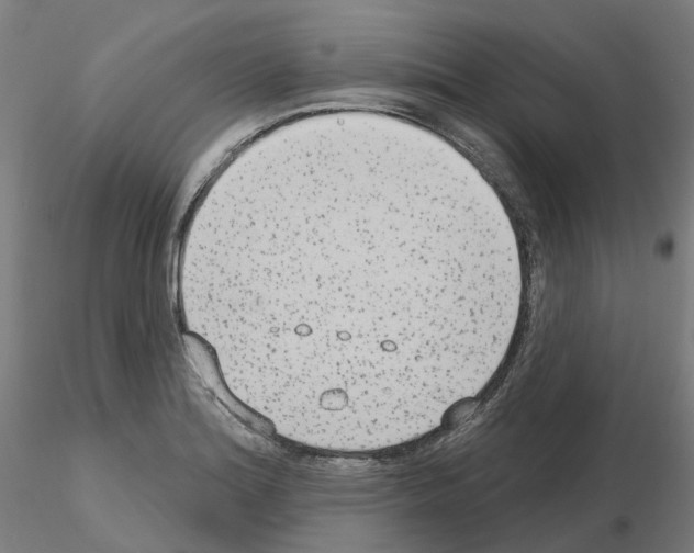 X0000115631180200912221243