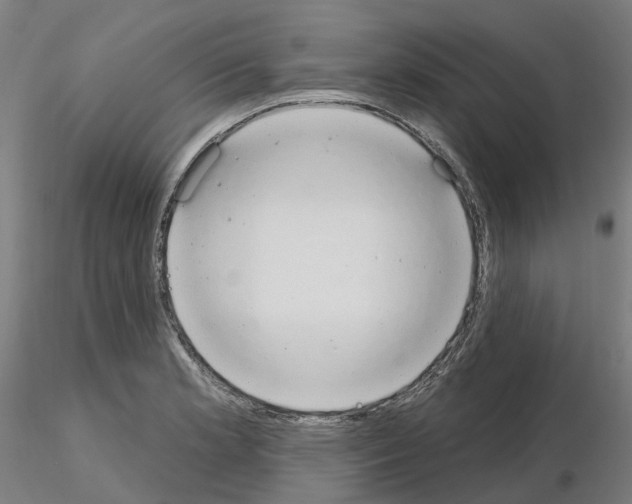 X0000115631181200912221243