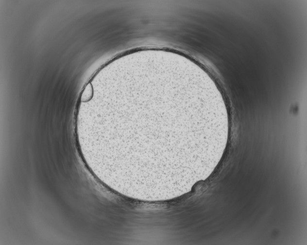 X0000115631183200912221243