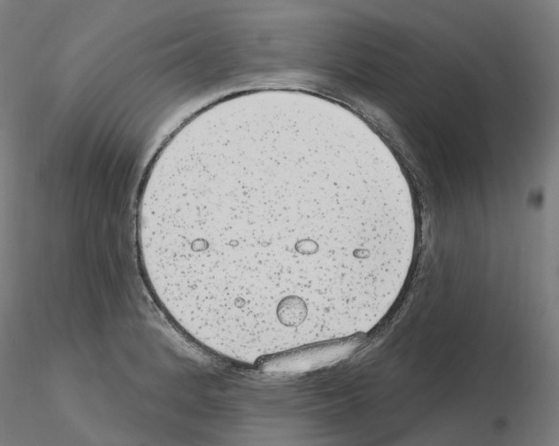 X0000115631184200912221243