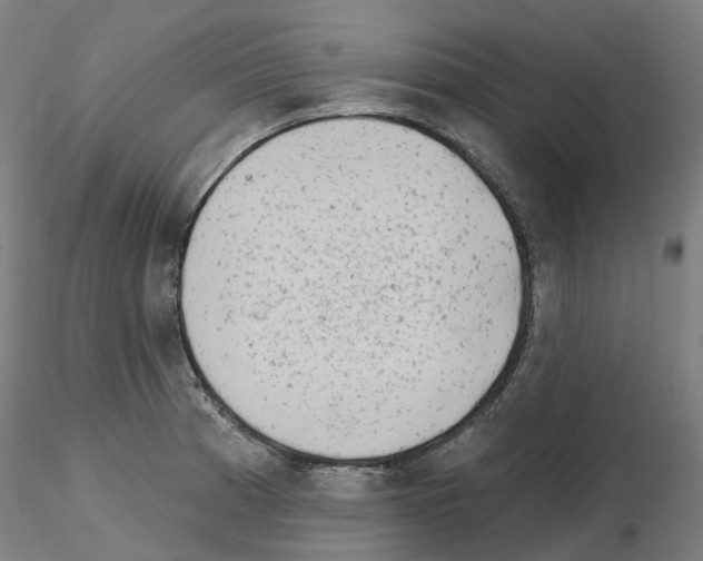 X0000115631185200912221243