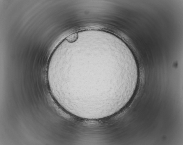 X0000115631186200912221243