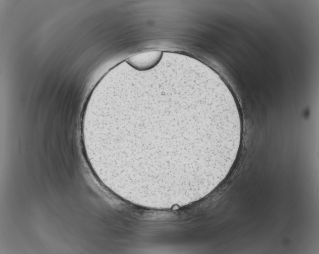 X0000115631187200912221243