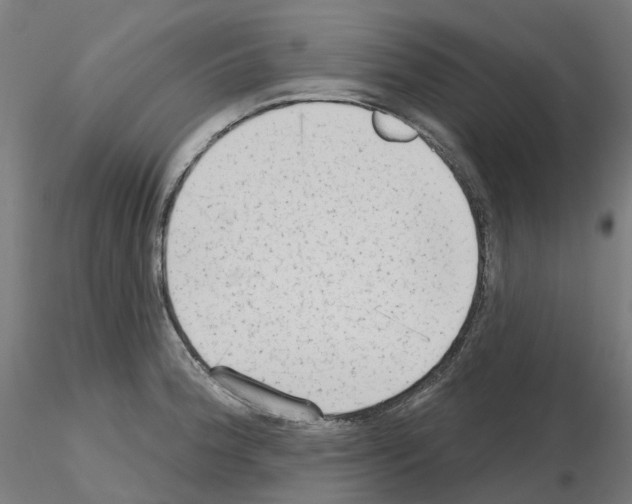 X0000115631188200912221243