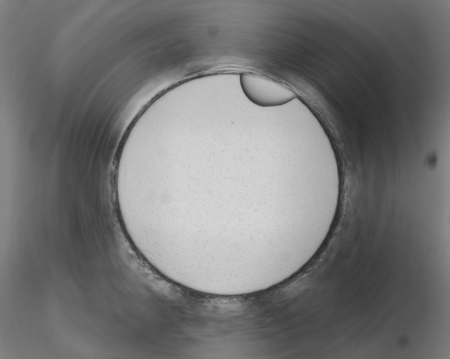X0000115631190200912221243