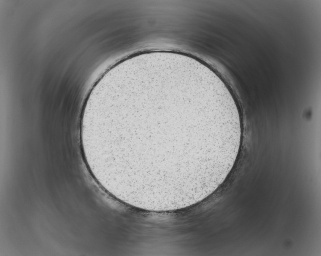 X0000115631191200912221243