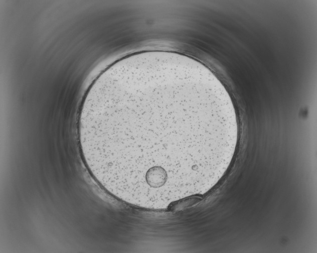 X0000115631192200912221243