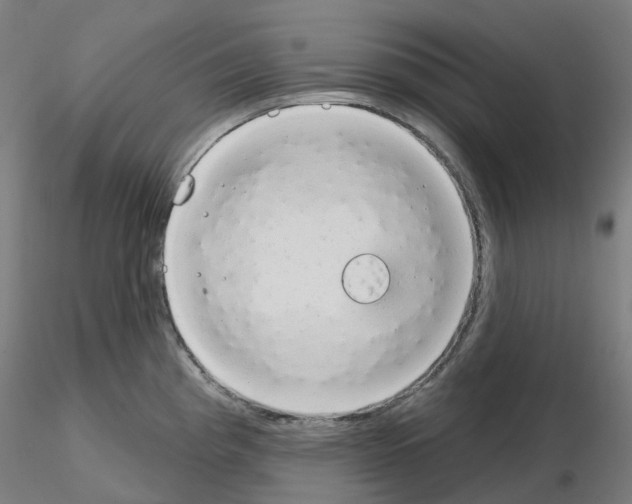 X0000115631193200912221242