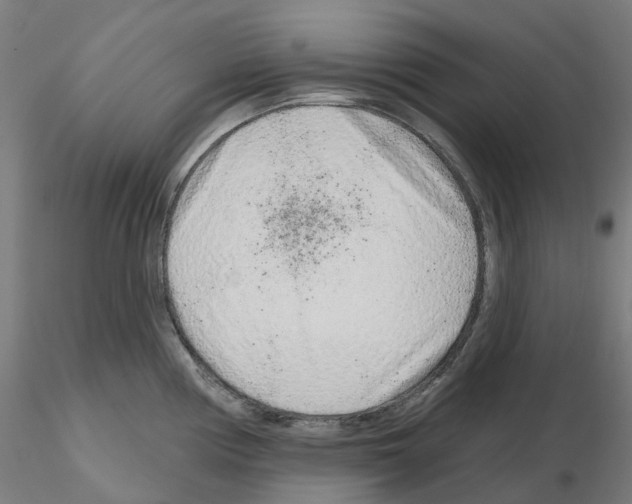 X0000115631194200912221242