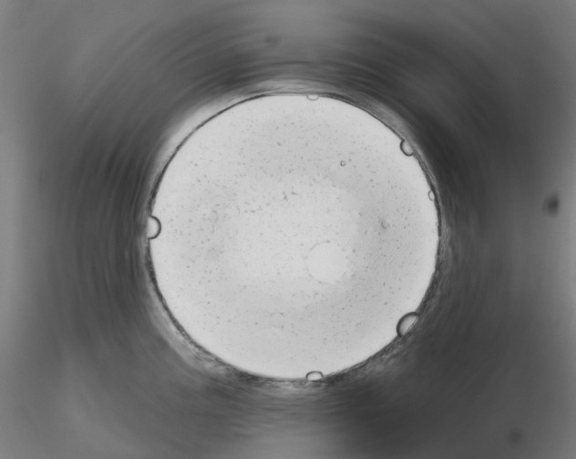 X0000115631195200912221242