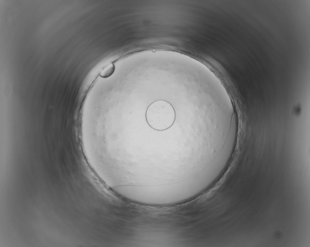 X0000115631196200912221242