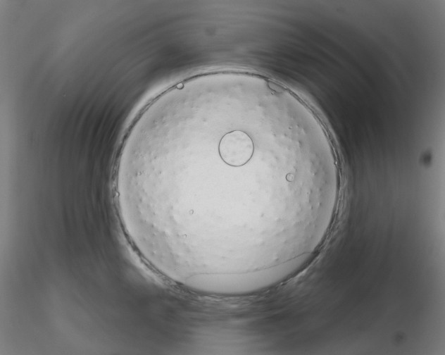 X0000115631197200912221242