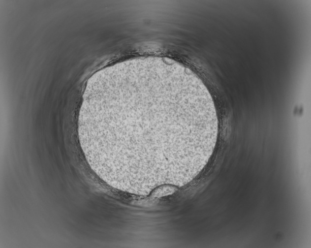 X0000115631201200912221242