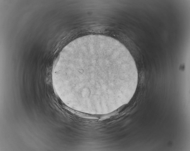 X0000115631202200912221242