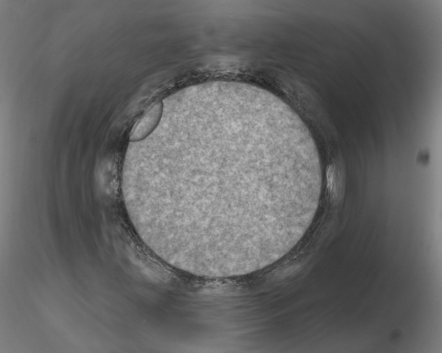 X0000115631203200912221242