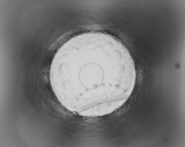 X0000115631205200912221242