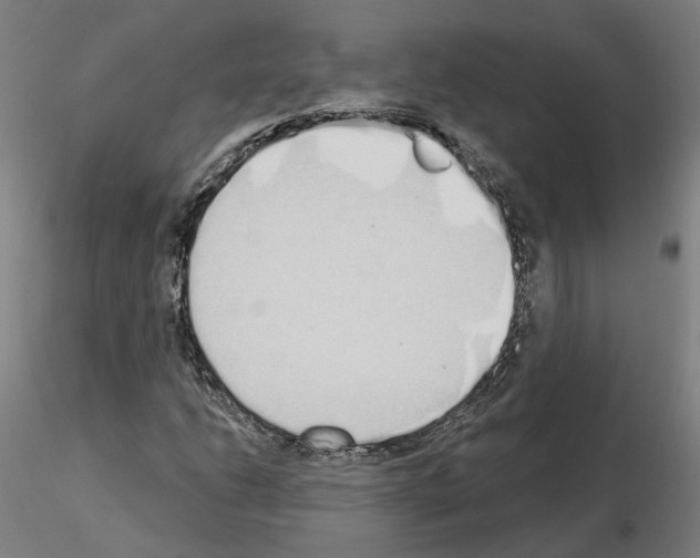 X0000115631206200912221242