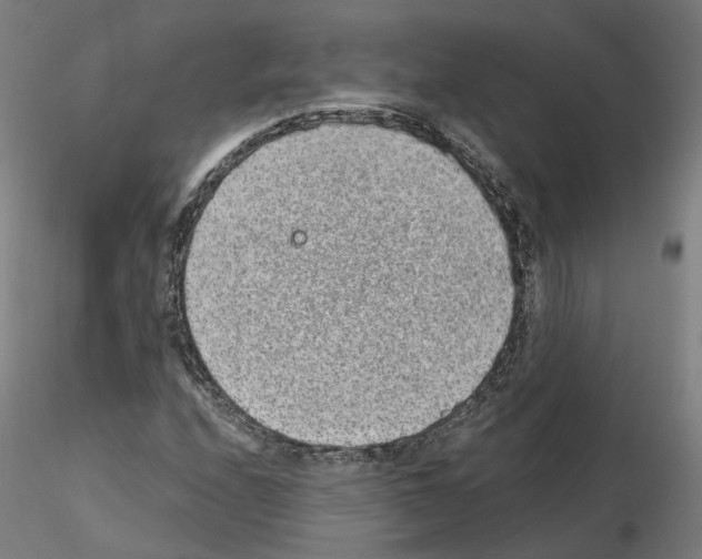 X0000115631208200912221242