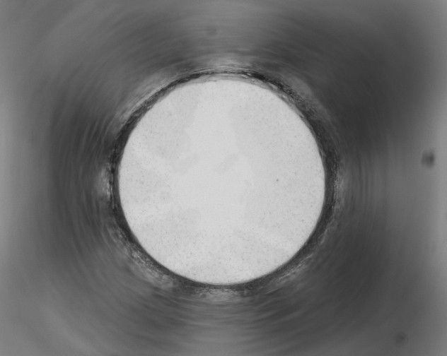 X0000115631209200912221242