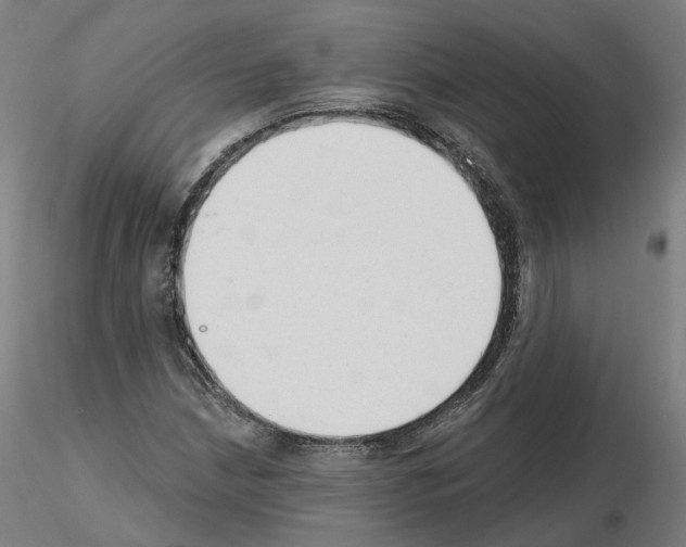 X0000115631210200912221242