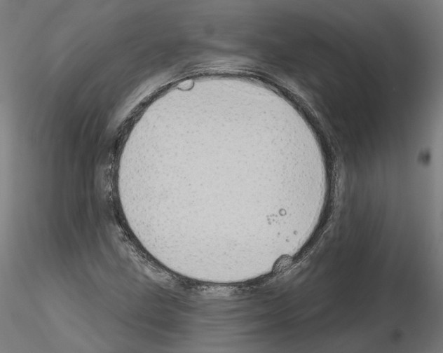X0000115631211200912221242