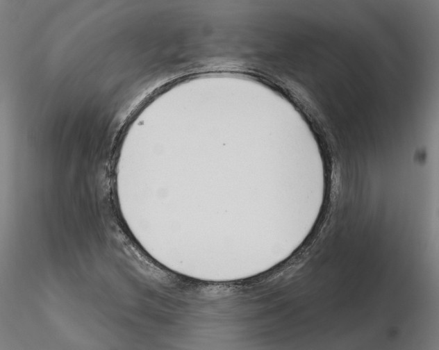X0000115631212200912221242