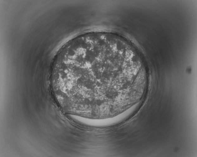 X0000115631213200912221242