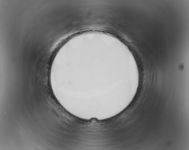 X0000115631214200912221242