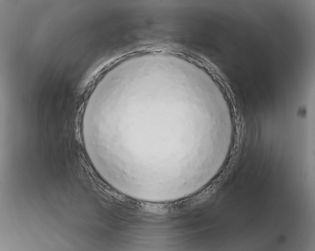 X0000115631215200912221242