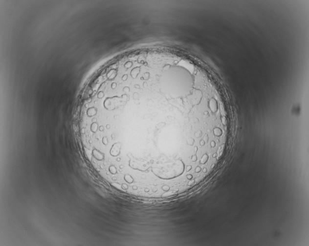 X0000115631216200912221242