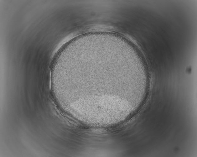 X0000115631219200912221242