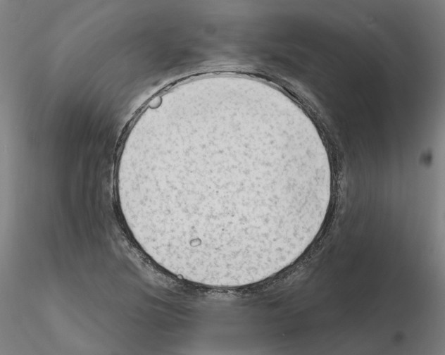 X0000115631220200912221242