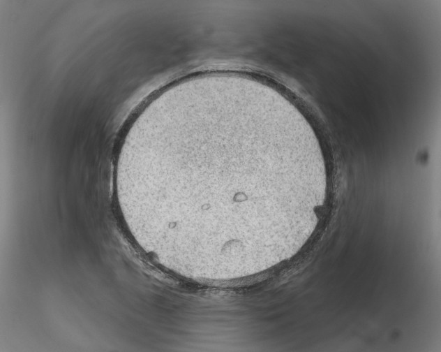 X0000115631221200912221242