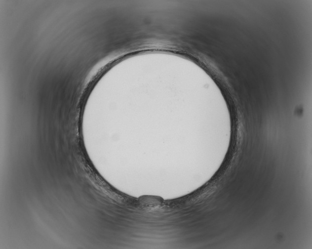 X0000115631222200912221242
