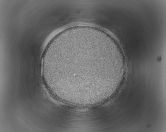 X0000115631223200912221242