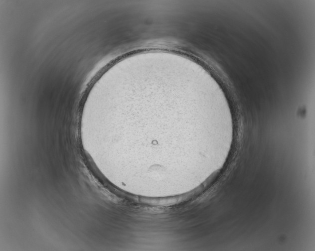 X0000115631224200912221242