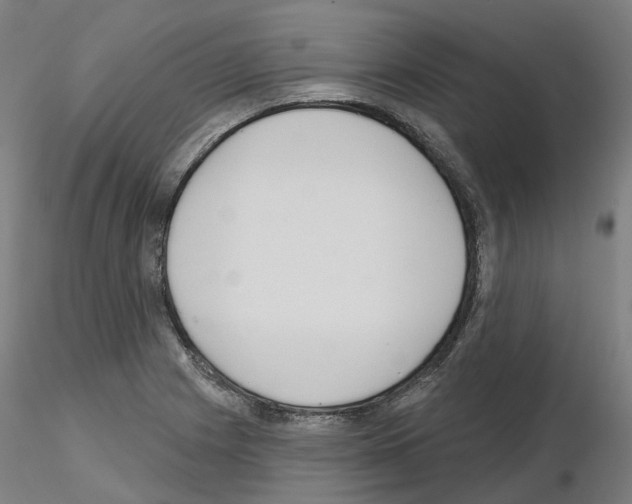 X0000115631225200912221242