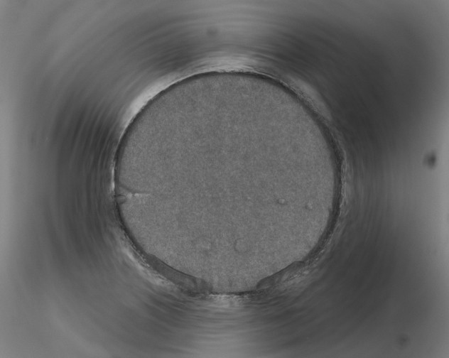 X0000115631226200912221242