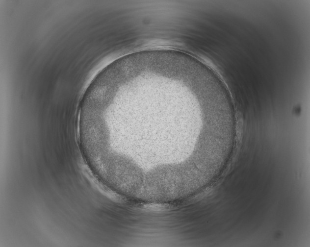 X0000115631227200912221242