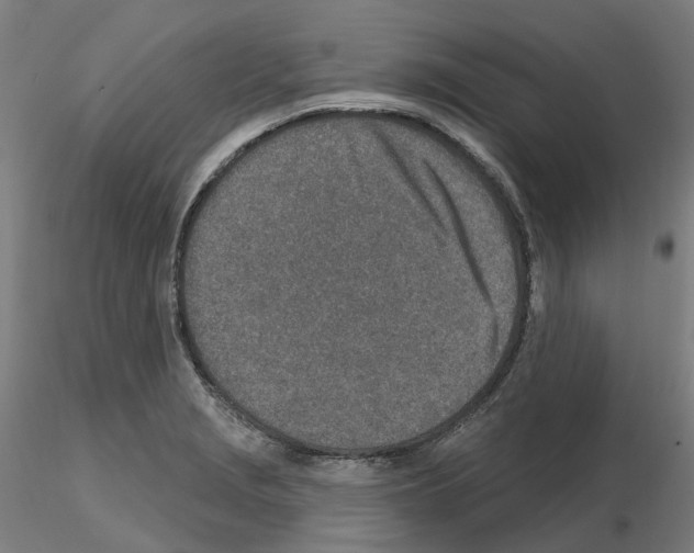 X0000115631229200912221242