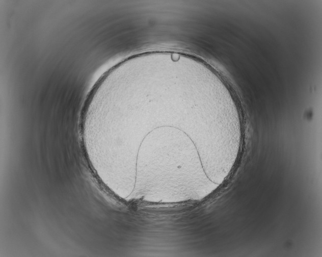 X0000115631230200912221242