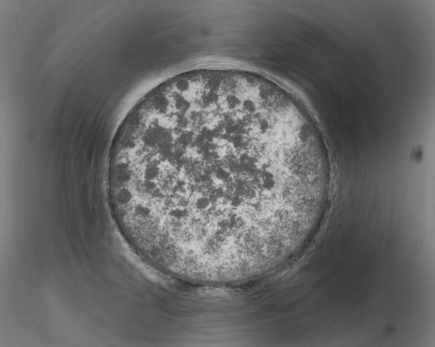 X0000115631231200912221242