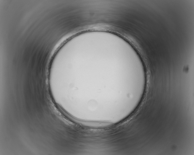 X0000115631232200912221242