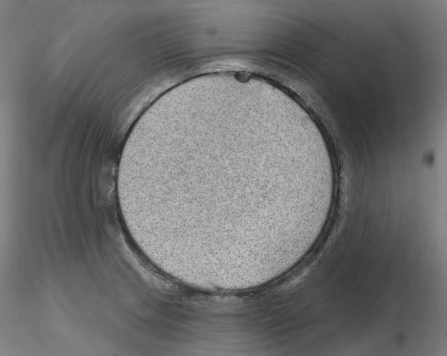 X0000115631233200912221242