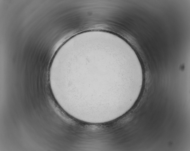 X0000115631234200912221242